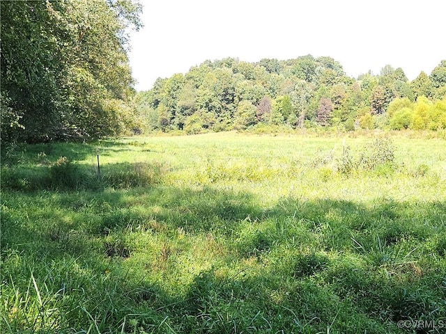 288 Cole Comfort Rd, Dillwyn, VA 23936 - view of nature