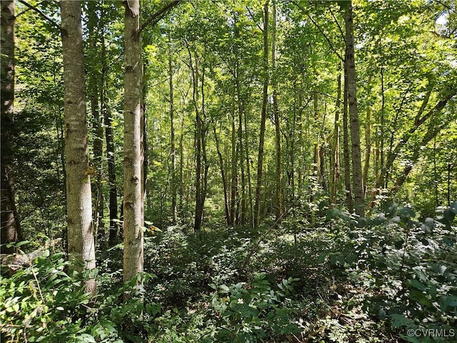 288 Cole Comfort Rd, Dillwyn, VA 23936 - view of local wilderness with a forest view