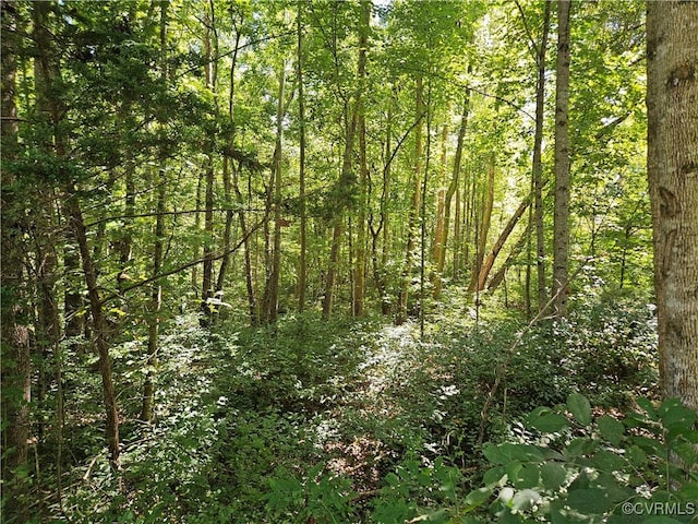 288 Cole Comfort Rd, Dillwyn, VA 23936 - view of nature featuring a view of trees