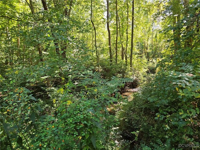 view of local wilderness