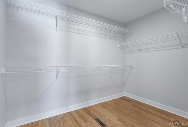 walk in closet featuring wood-type flooring