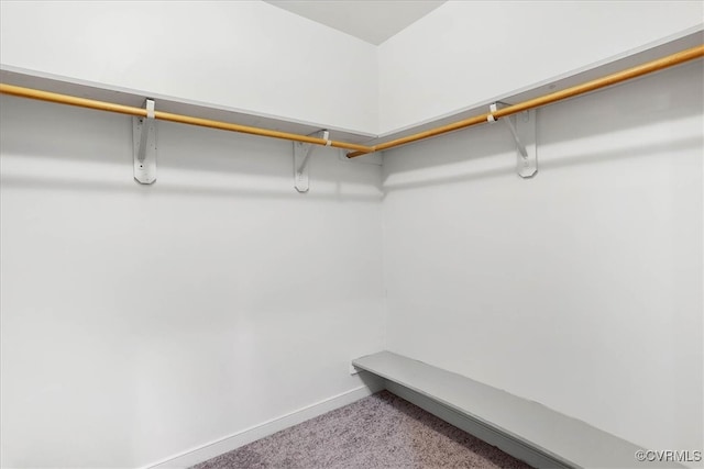 spacious closet with carpet flooring