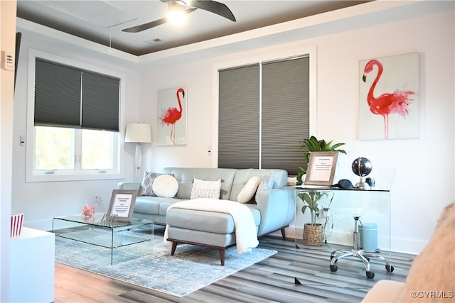 living room with ceiling fan and light hardwood / wood-style flooring