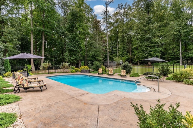 view of pool featuring a patio area