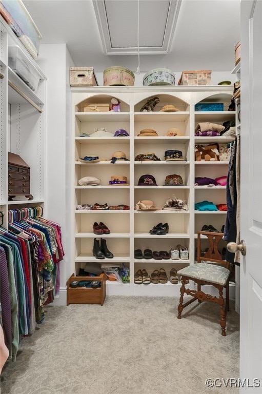 spacious closet with carpet floors