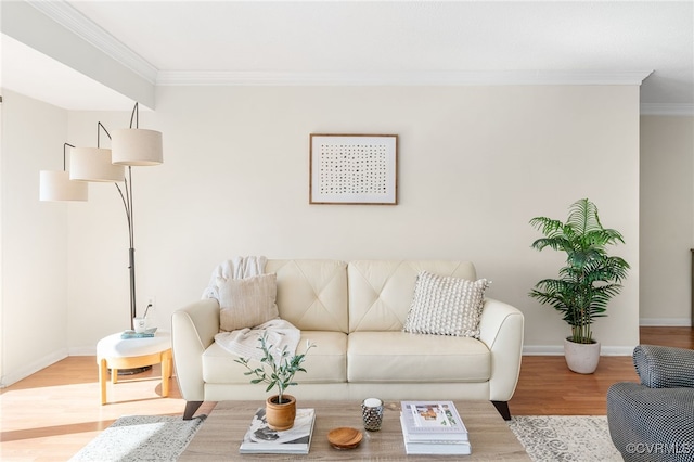 living room featuring ornamental molding and hardwood / wood-style floors