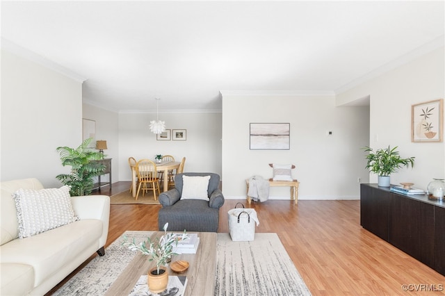 living room featuring ornamental molding, an inviting chandelier, and light hardwood / wood-style floors