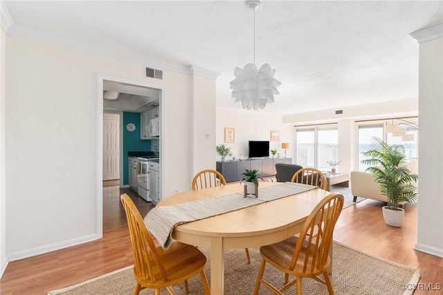 dining room featuring hardwood / wood-style flooring, crown molding, and a textured ceiling