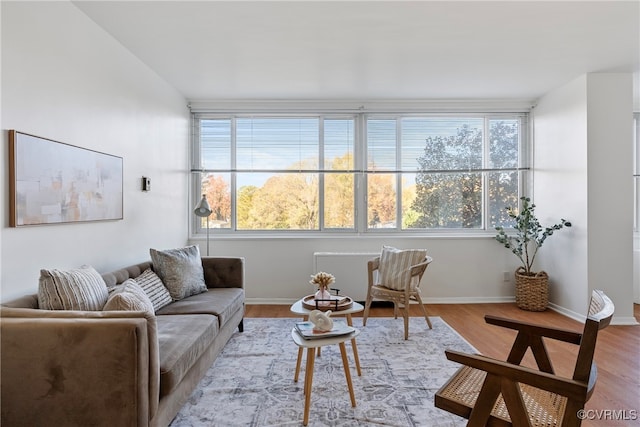 living room featuring light wood-type flooring