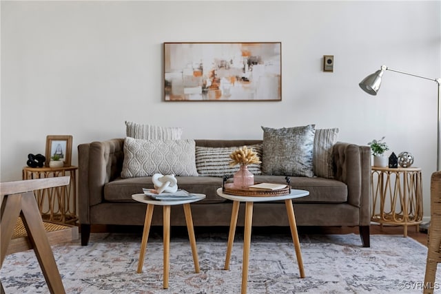 living room with wood-type flooring