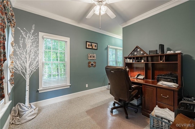 carpeted office featuring crown molding and ceiling fan