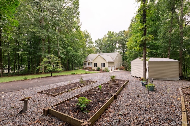 view of yard with a shed