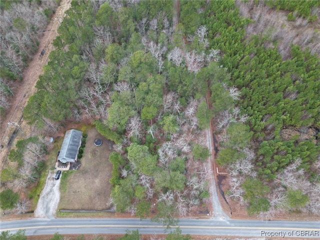 0 Piney Swamp Rd, Hayes, VA 23072 - photo 9