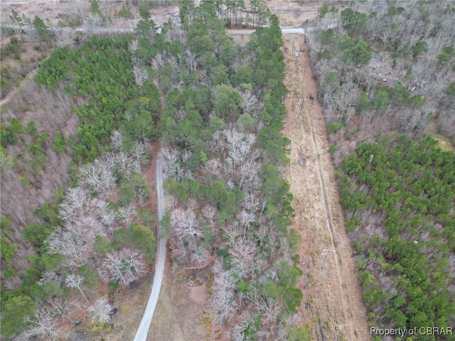 0 Piney Swamp Rd, Hayes, VA 23072 - photo 3