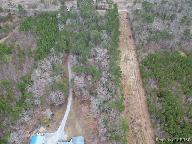 0 Piney Swamp Rd, Hayes, VA 23072 - photo 4