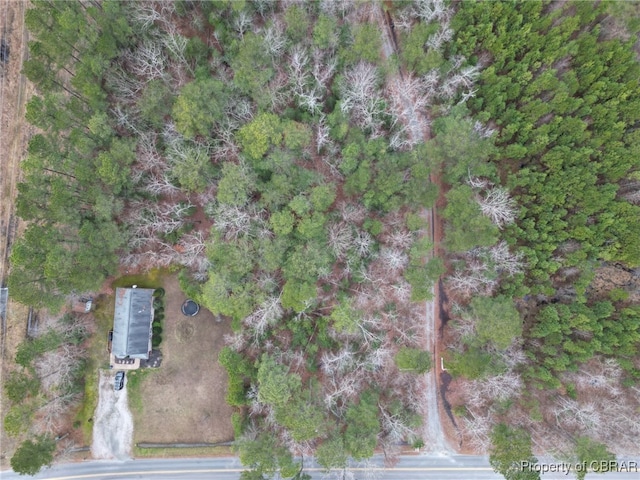 0 Piney Swamp Rd, Hayes, VA 23072 - photo 7