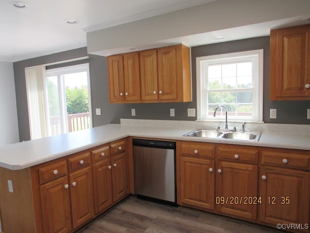 kitchen with dishwasher, kitchen peninsula, dark hardwood / wood-style floors, and sink