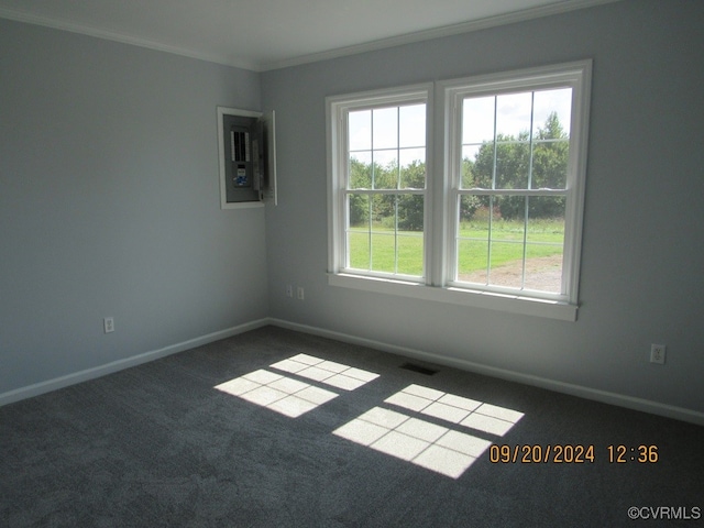 carpeted spare room with ornamental molding and a wealth of natural light