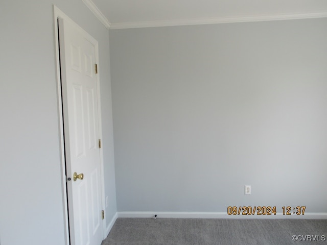 spare room featuring crown molding and carpet flooring