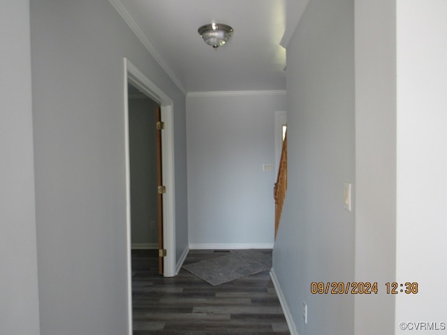 corridor featuring crown molding and dark wood-type flooring