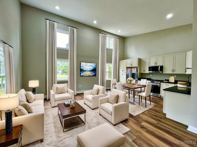 living room featuring sink, a towering ceiling, and light wood-type flooring