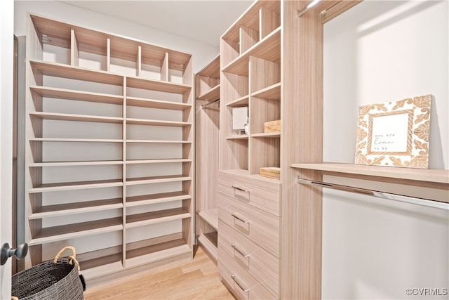 spacious closet featuring light hardwood / wood-style floors