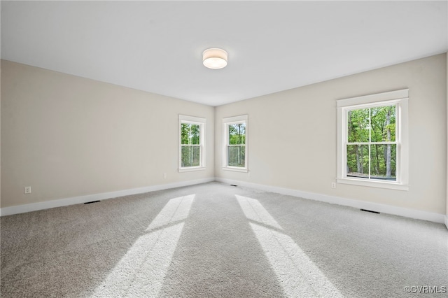 spare room with carpet flooring and a wealth of natural light