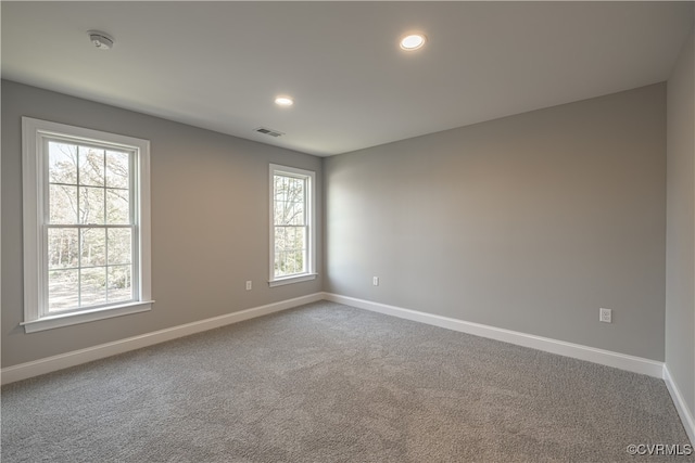 carpeted spare room with a wealth of natural light