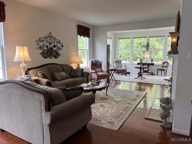 living room with dark hardwood / wood-style floors