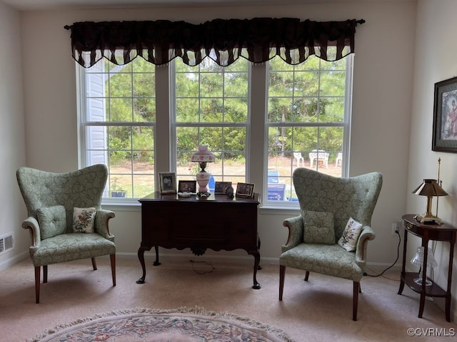 sitting room with carpet flooring