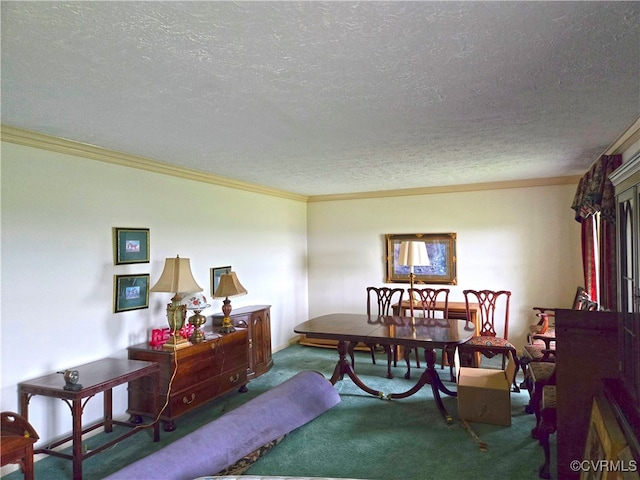 interior space with carpet, a textured ceiling, and crown molding