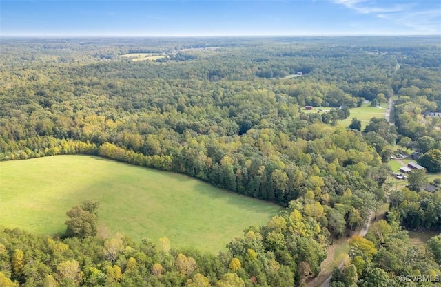 1905 Hicks Rd, Goochland, VA 23039 - photo 3