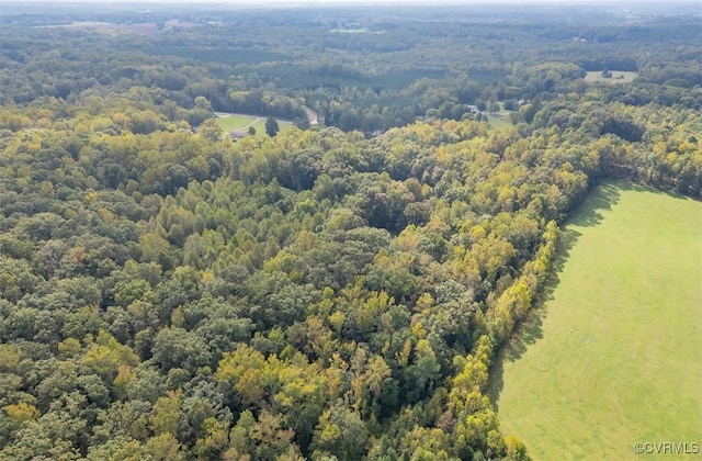 1905 Hicks Rd, Goochland, VA 23039 - photo 4
