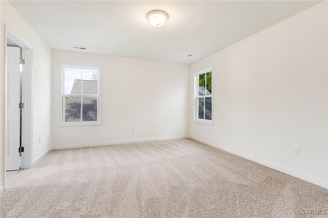 443 Haley Ct, Ashland, VA 23005 - photo 29