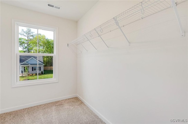 443 Haley Ct, Ashland, VA 23005 - photo 32