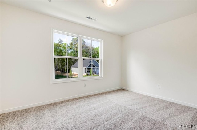 443 Haley Ct, Ashland, VA 23005 - photo 35