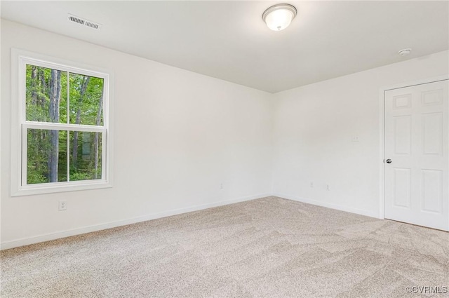 443 Haley Ct, Ashland, VA 23005 - photo 38