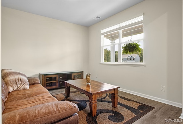 living room featuring wood-type flooring