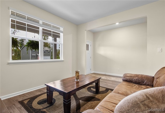 living room featuring wood-type flooring