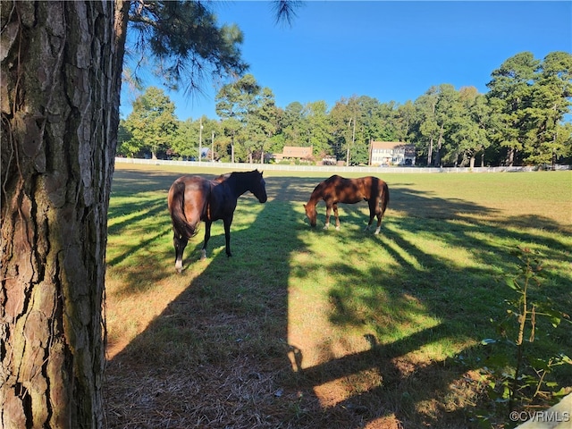 view of property's community featuring a lawn and a rural view