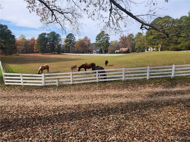 view of yard featuring a rural view