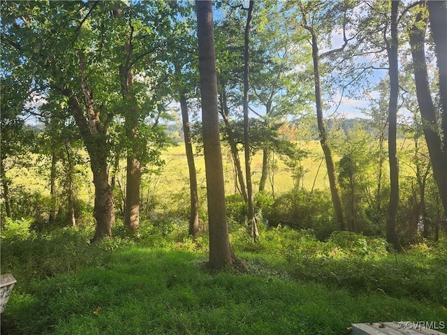 view of nature featuring a view of trees