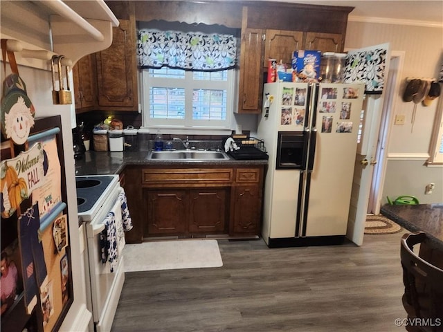 kitchen featuring crown molding, dark countertops, a sink, wood finished floors, and white appliances