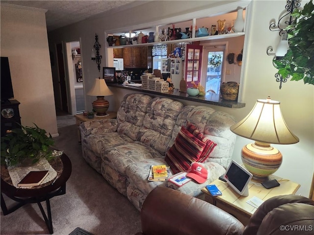 living area with carpet