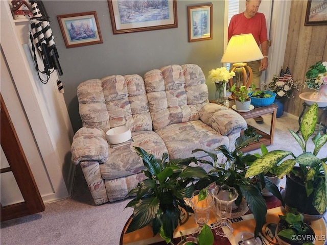 view of carpeted living area