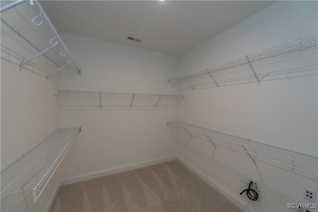 spacious closet with carpet flooring