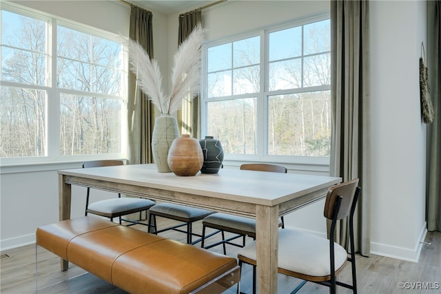 dining room with light hardwood / wood-style floors and a healthy amount of sunlight