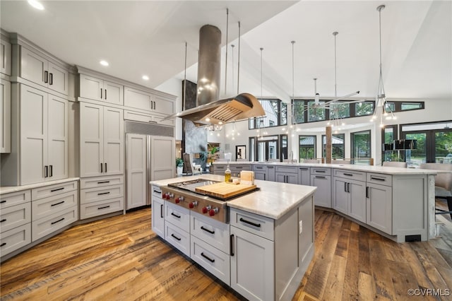 kitchen featuring a spacious island, island exhaust hood, a wealth of natural light, and gray cabinets