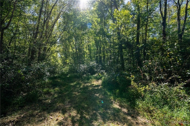 Listing photo 3 for 0 Beaver Dam Rd, Beaverdam VA 23015