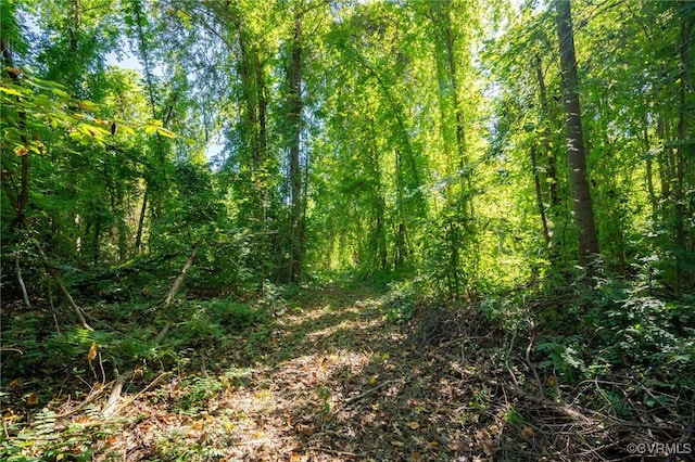 00 Beaver Dam Rd, Beaverdam, VA 23015 - photo 25